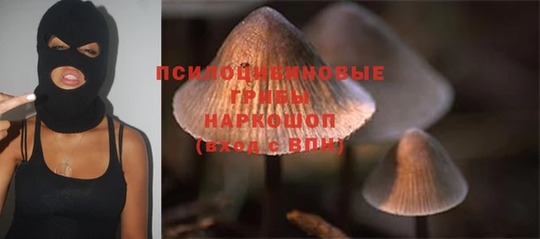 крисы Остров
