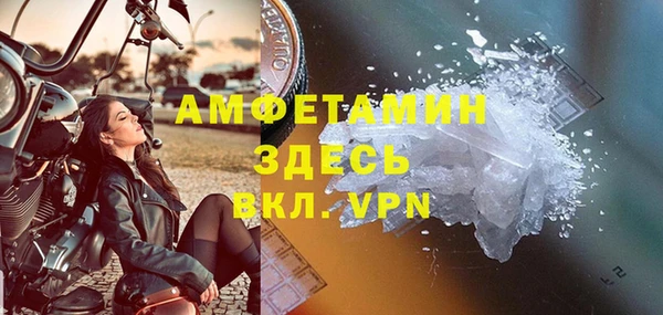 сатива Чегем