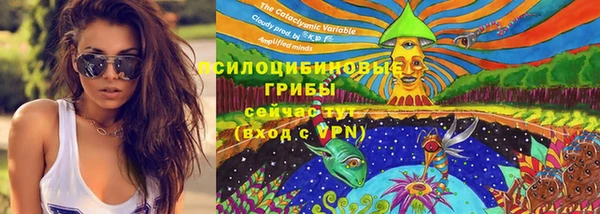 крисы Остров