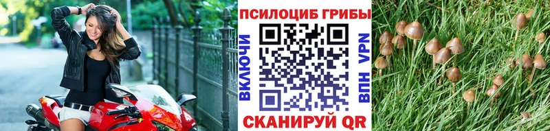 Псилоцибиновые грибы Magic Shrooms  Армянск 